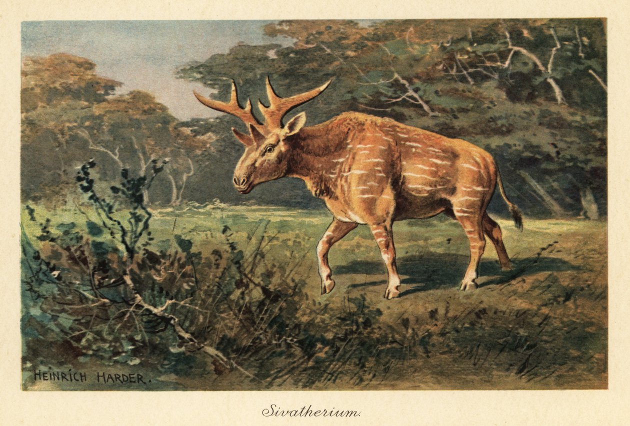 Sivatherium giganteum viidakon aukiolla. tekijältä Heinrich Harder