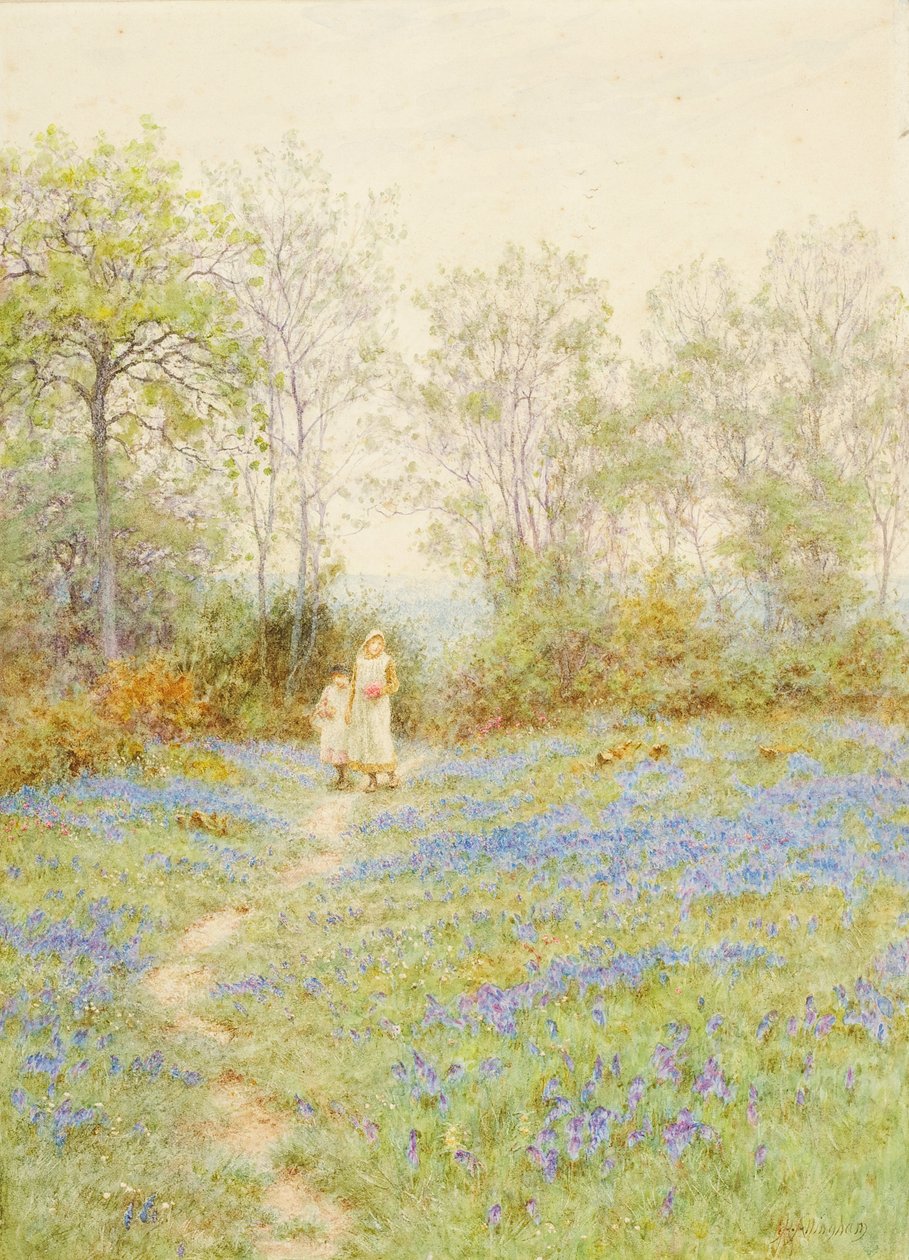 Sinikellot tekijältä Helen Allingham
