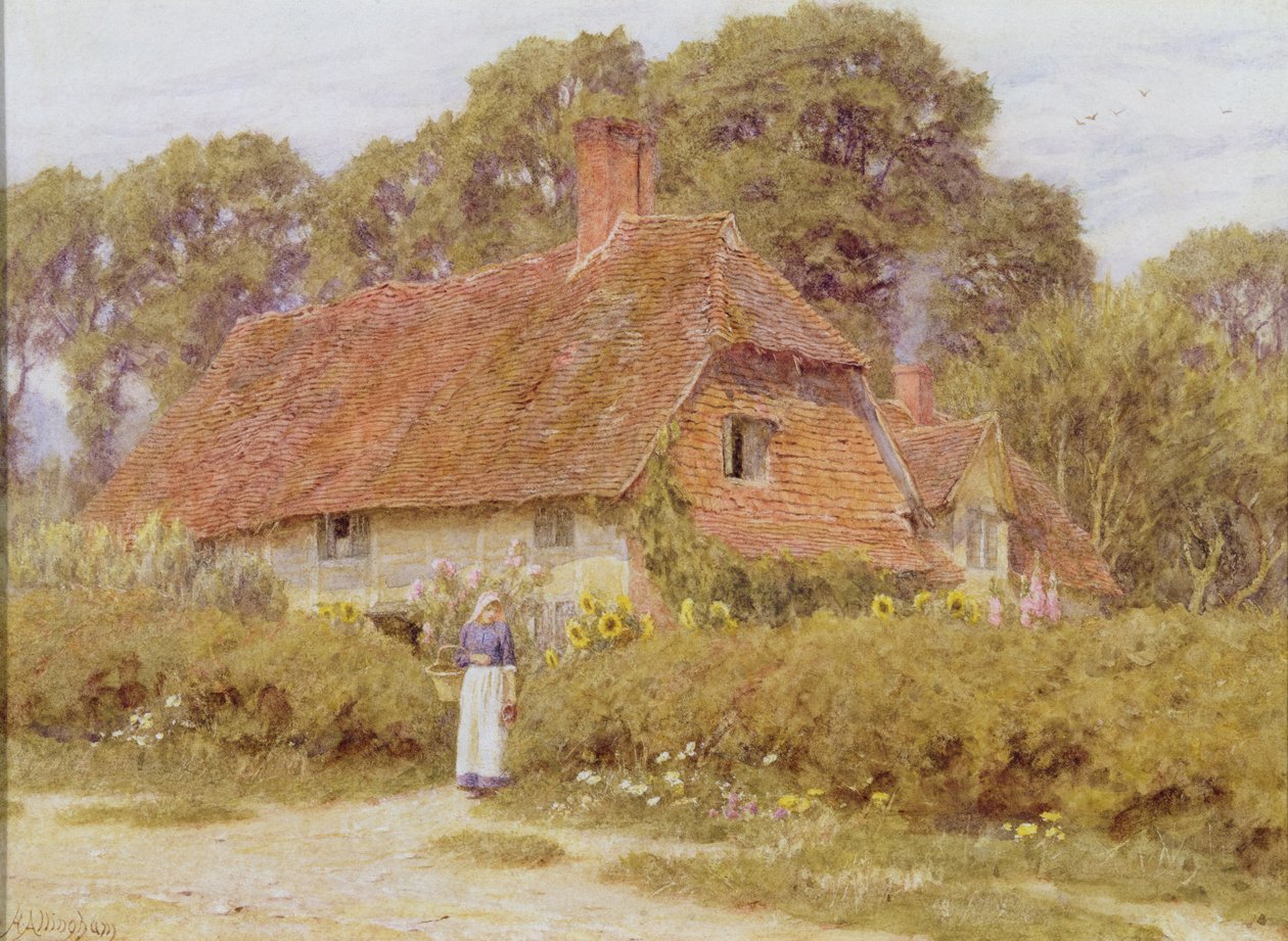 Auringonkukat tekijältä Helen Allingham