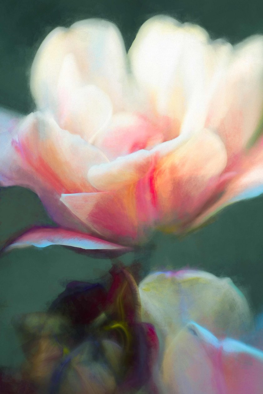 Emergence II, 2018, tekijältä Helen White