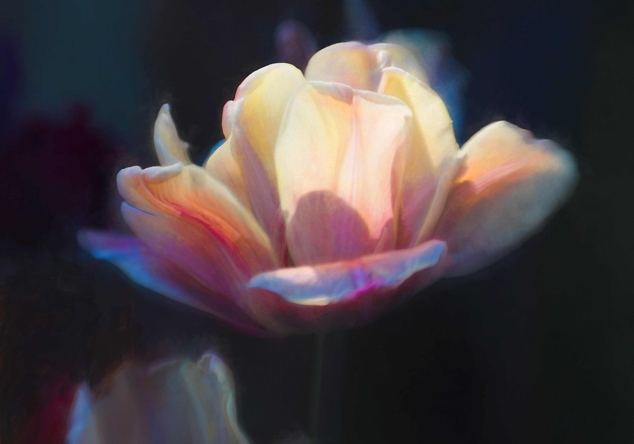 Emergence III, 2018, tekijältä Helen White