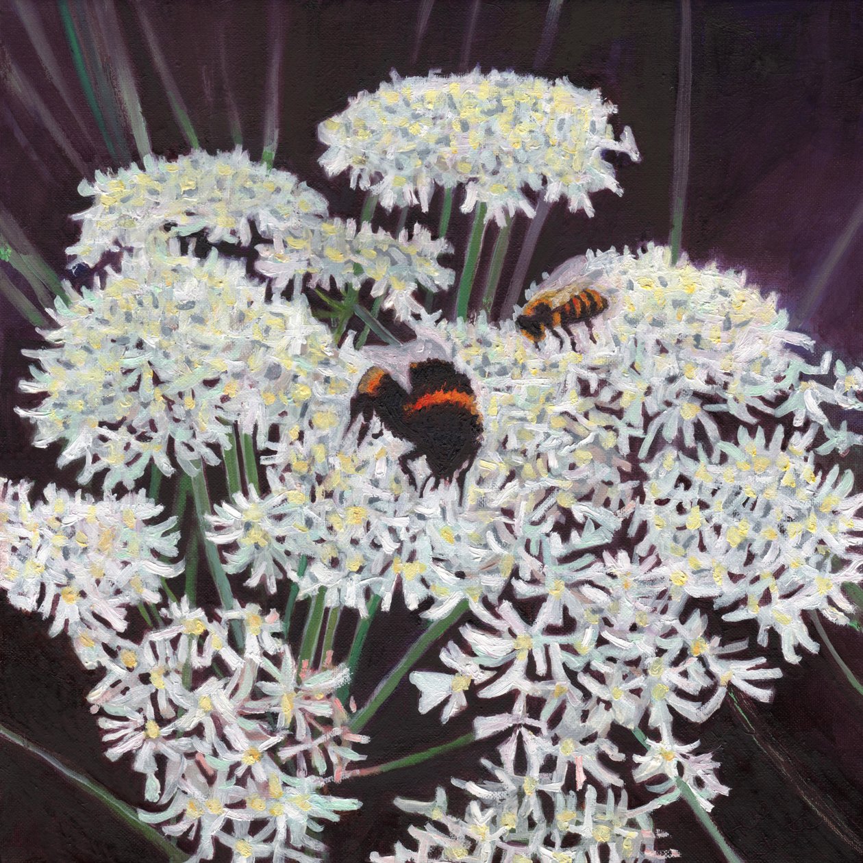 Kukinto, 2015, tekijältä Helen White