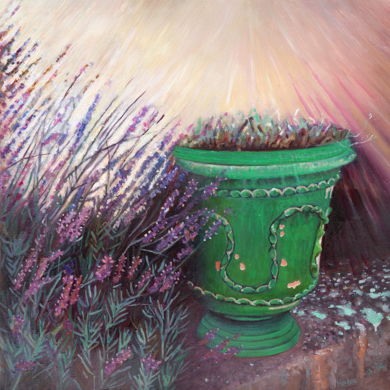 Provencen puutarha II, 2014, tekijältä Helen White