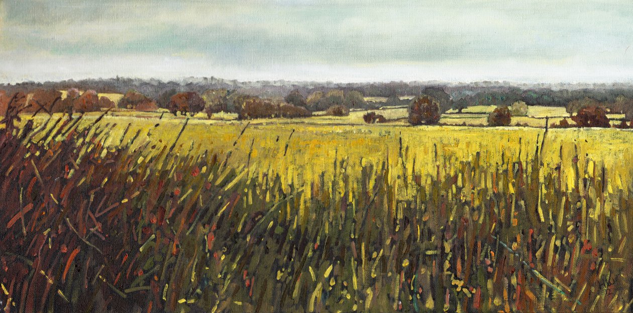 Kohti Riseleytä, 2012, tekijältä Helen White