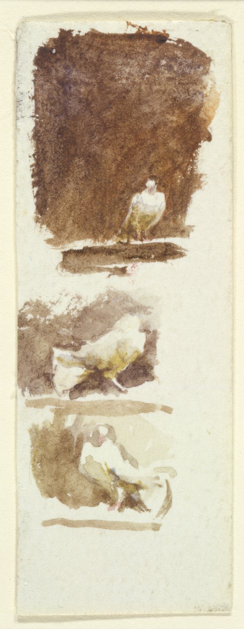 Kyyhkyset (wc paperilla) tekijältä Helen Allingham