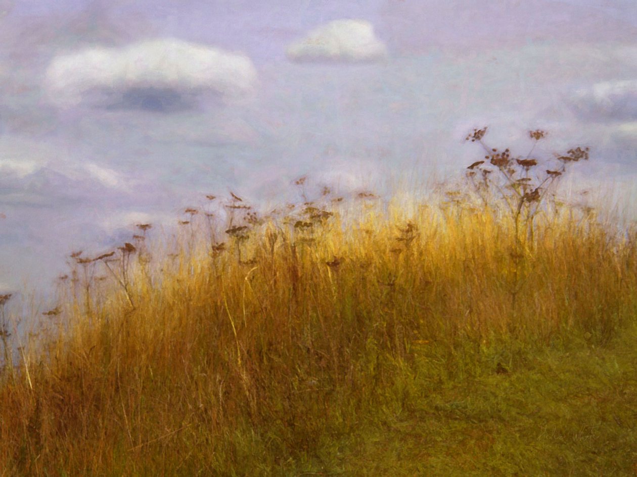 Drifting, 2019 tekijältä Helen White