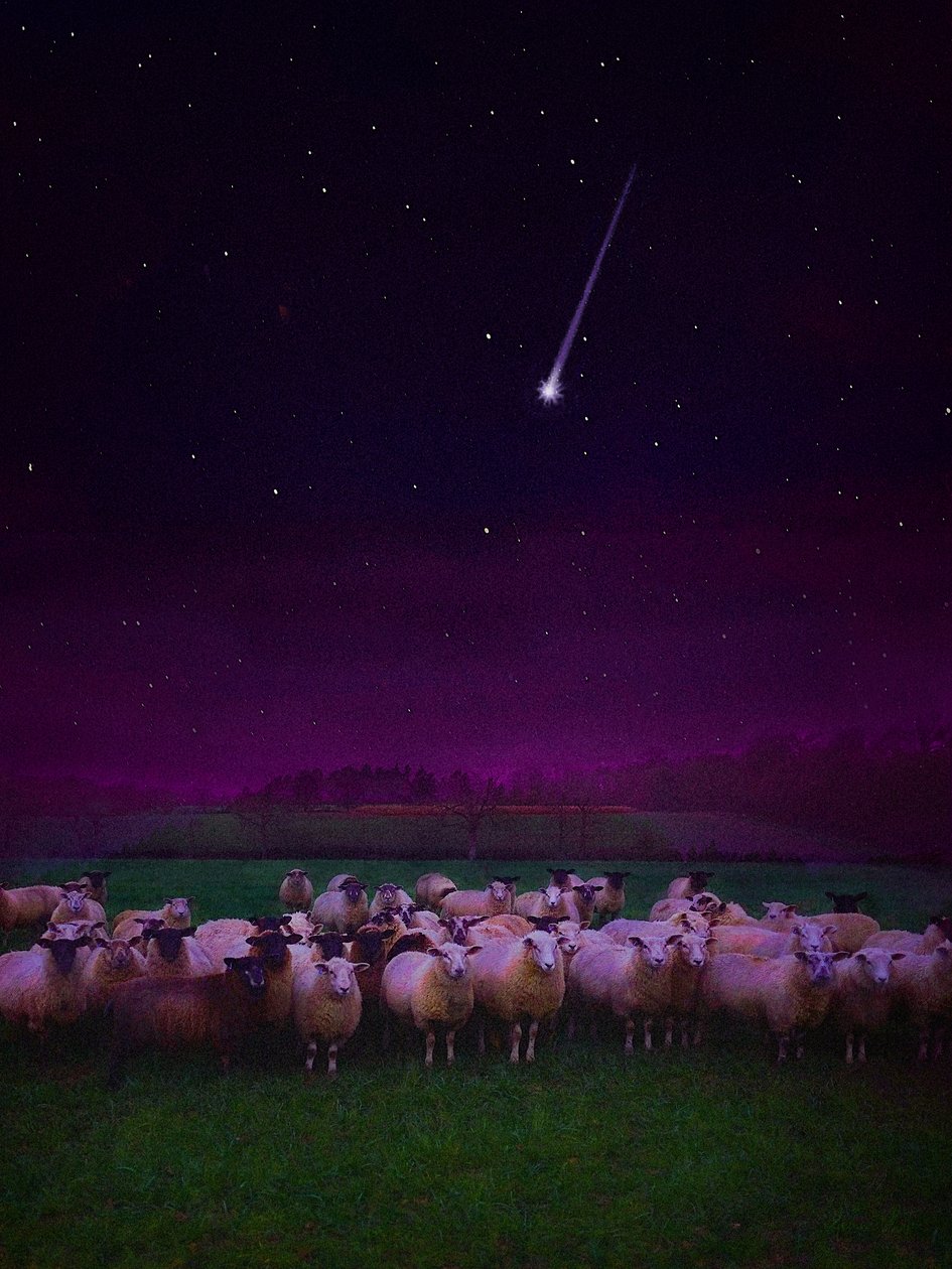 Flock by Night, 2019 tekijältä Helen White