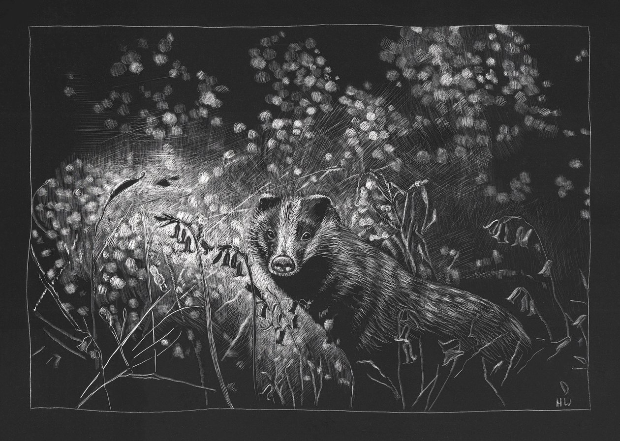 Spring Badger, 2023 finlandês tekijältä Helen White