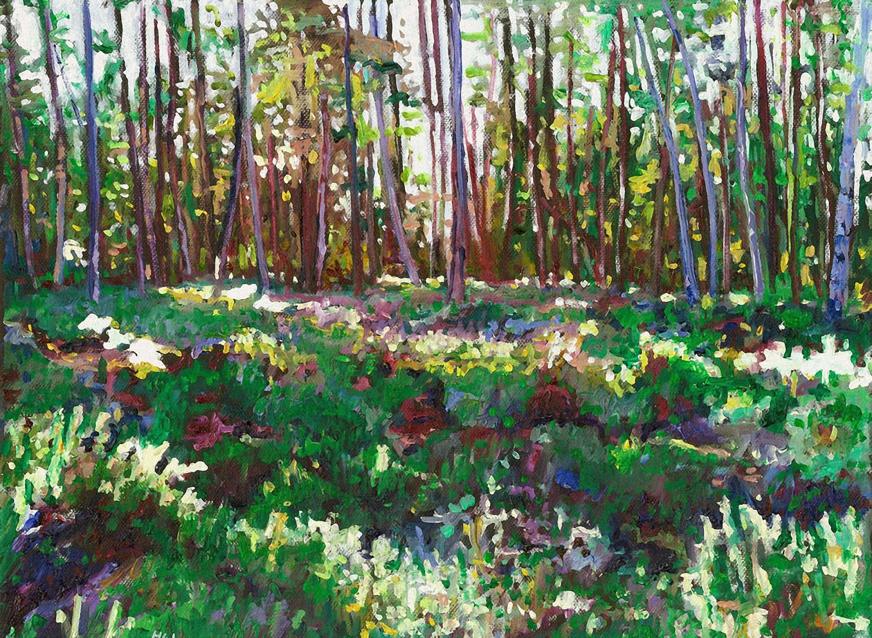 Sunlight on Heather, 2011 tekijältä Helen White