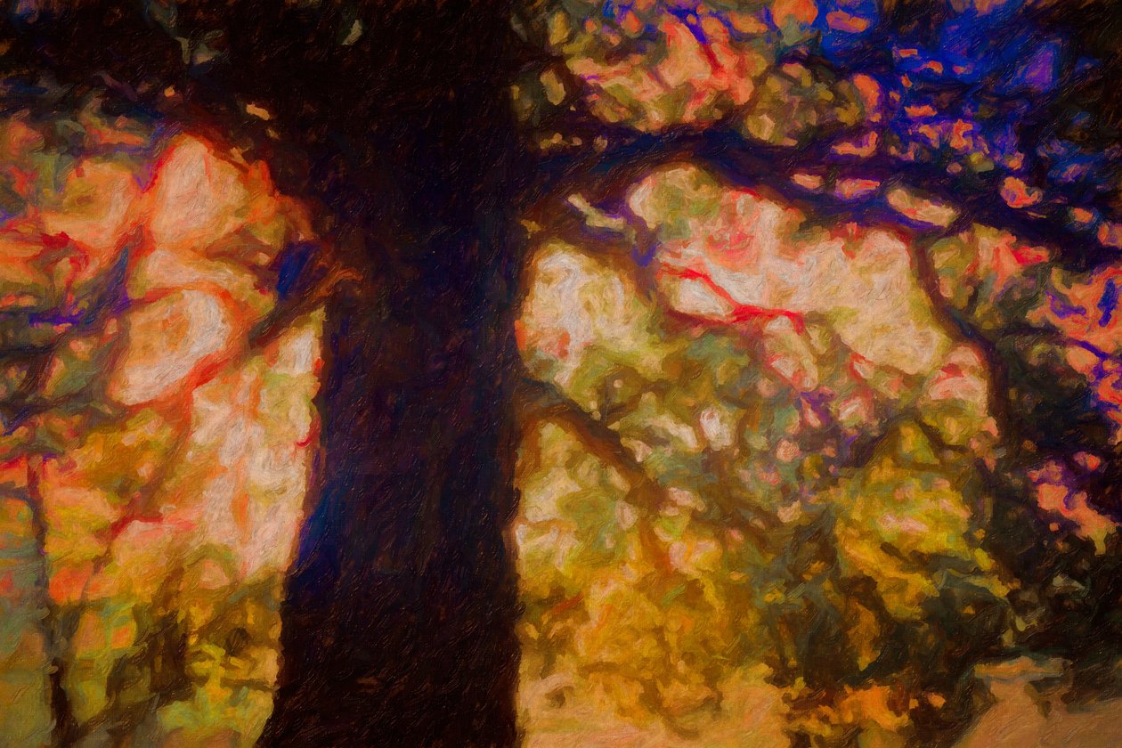 Spreading Oak:n alla, 2019 tekijältä Helen White