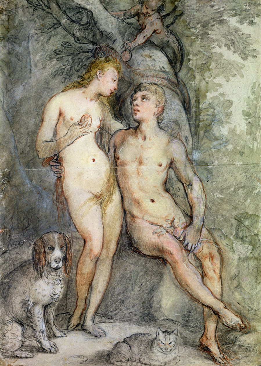 Adam ja Eeva (kynä ja värikynä paperilla) tekijältä Hendrik Goltzius
