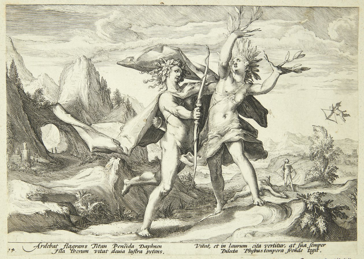 Daphne muuttui laakeripuuksi tekijältä Hendrick Goltzius