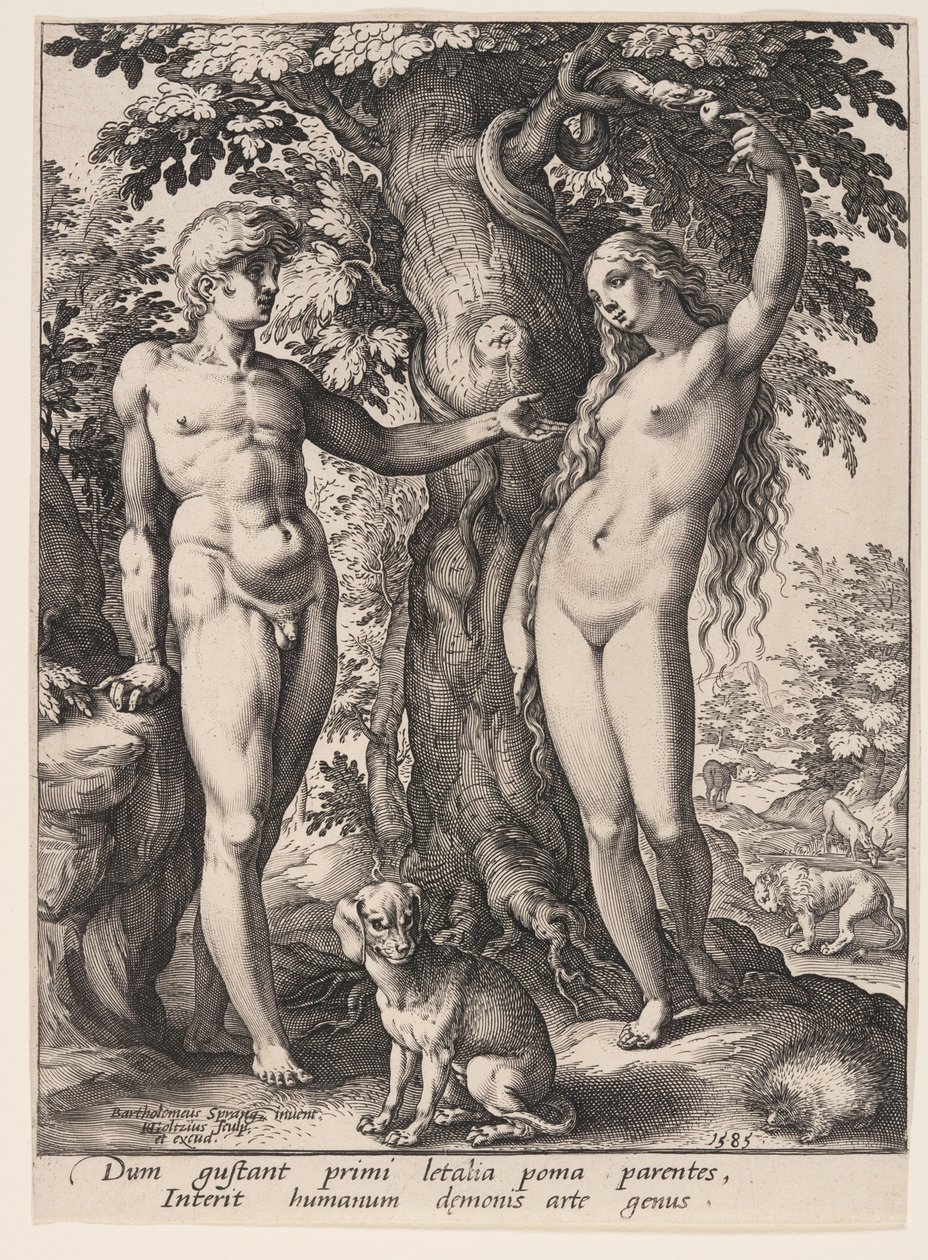 Ihmisen syntiinlankeemus tekijältä Hendrick Goltzius