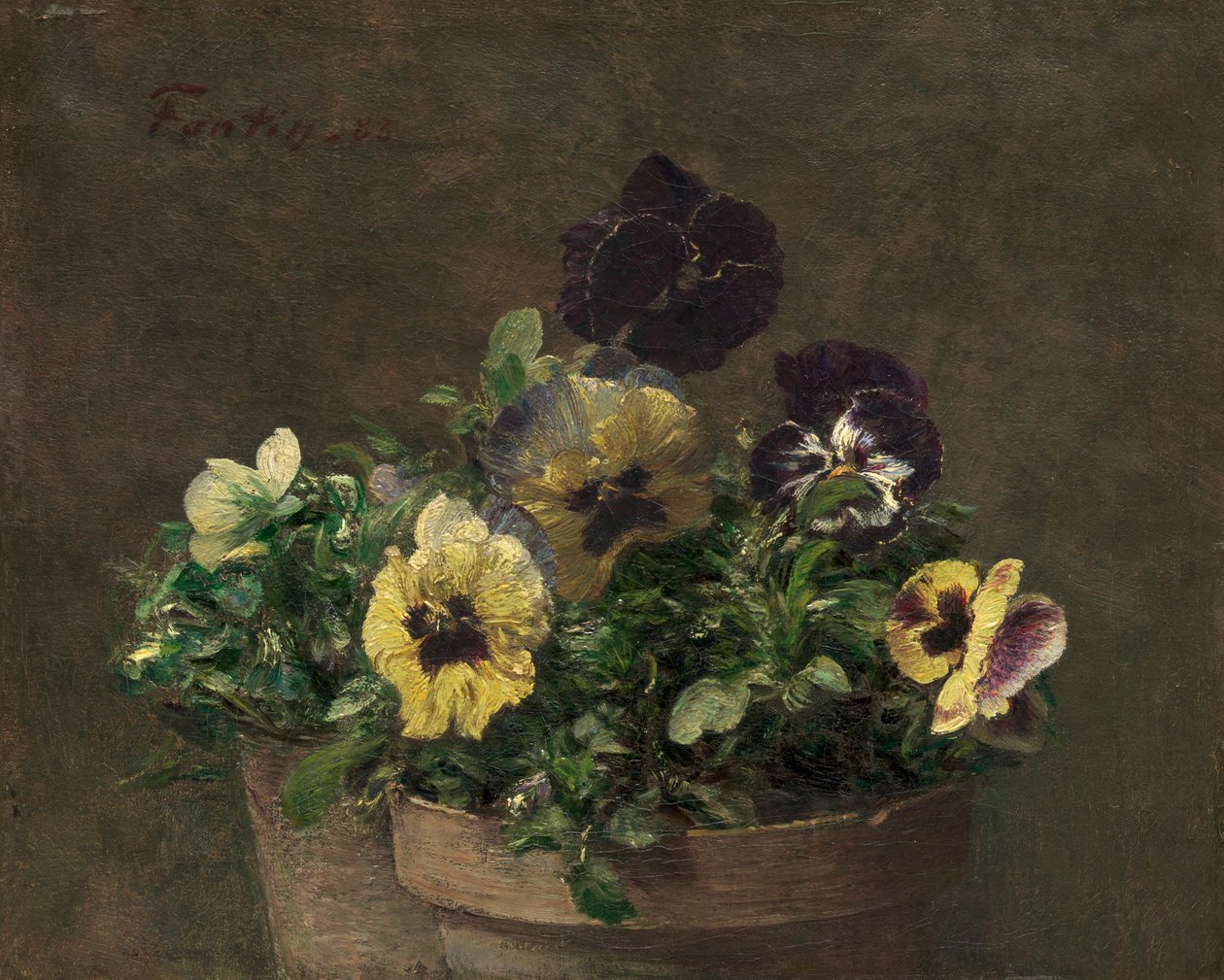 Ruukku orvokki, 1883. tekijältä Ignace Henri Jean Fantin Latour