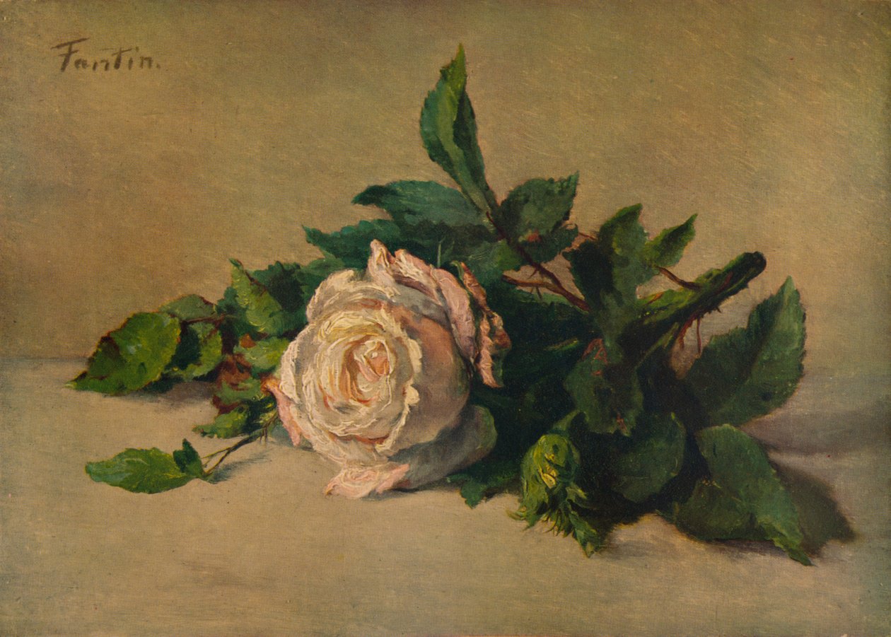 Valkoinen ruusu, c1863, 1938 tekijältä Ignace Henri Jean Fantin Latour