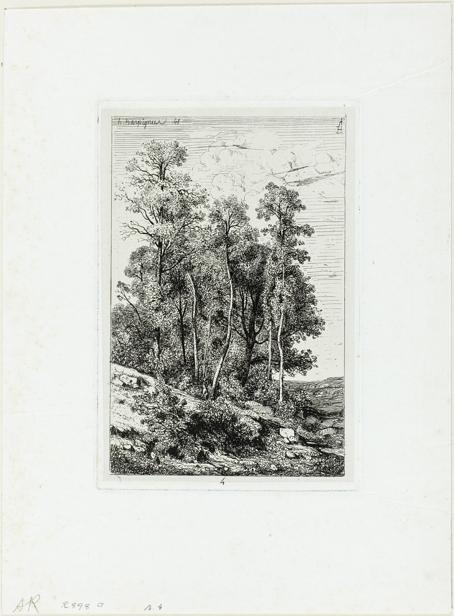 Koivut ja tammet tekijältä Henri Joseph Harpignies