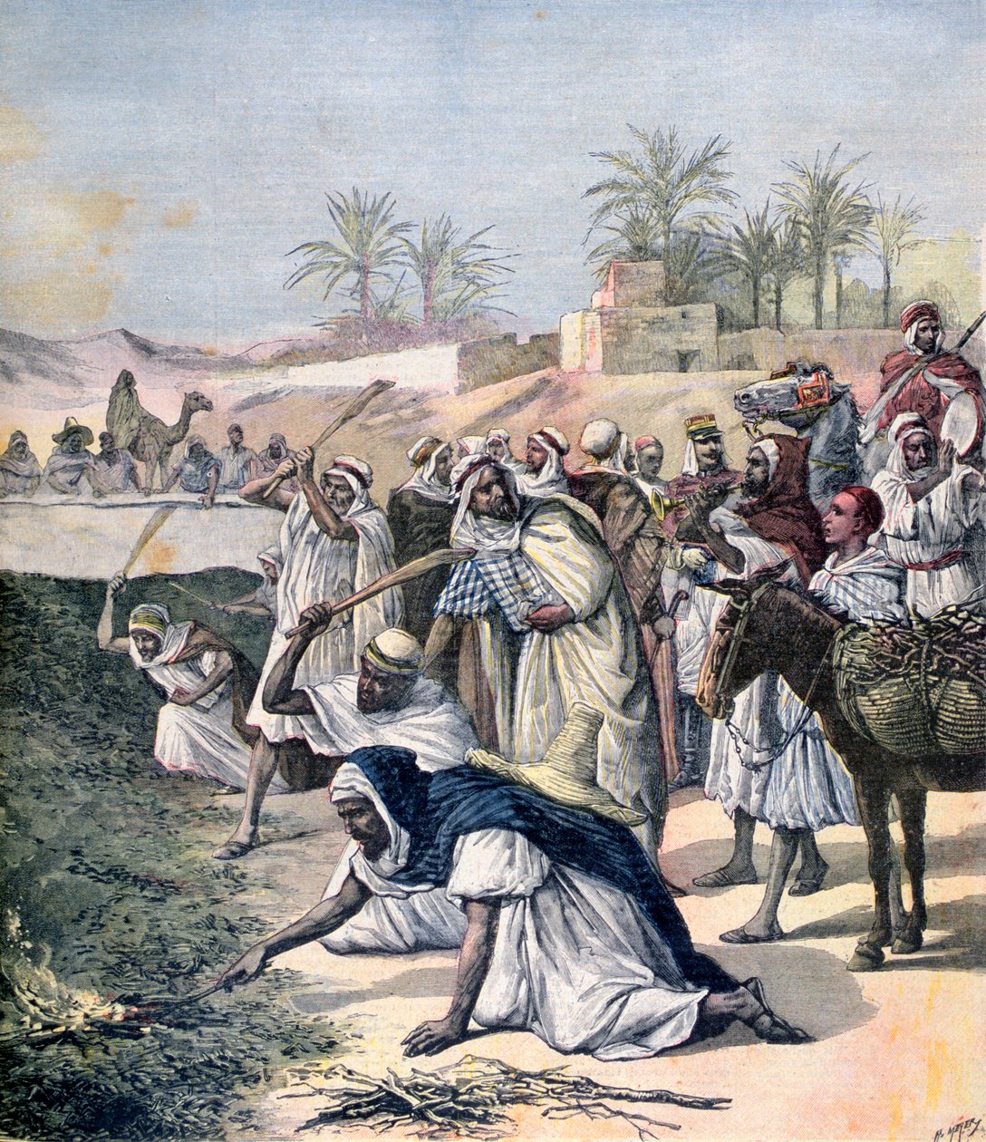 Heinäsirkkarutto, Algeria, 1891 tekijältä Henri Meyer