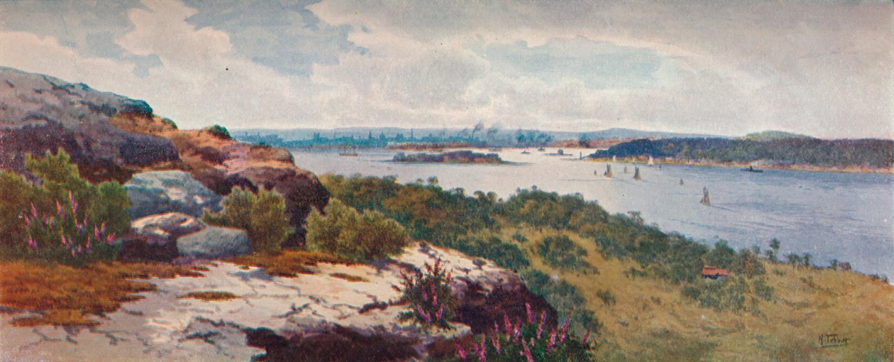 "Sydney From Vaucluse", vuodelta 1906 tekijältä Henri Tebbitt