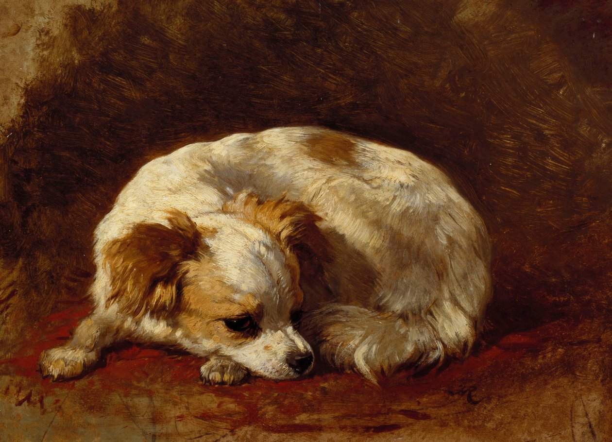 Perhonen tekijältä Henriëtte Ronner Knip