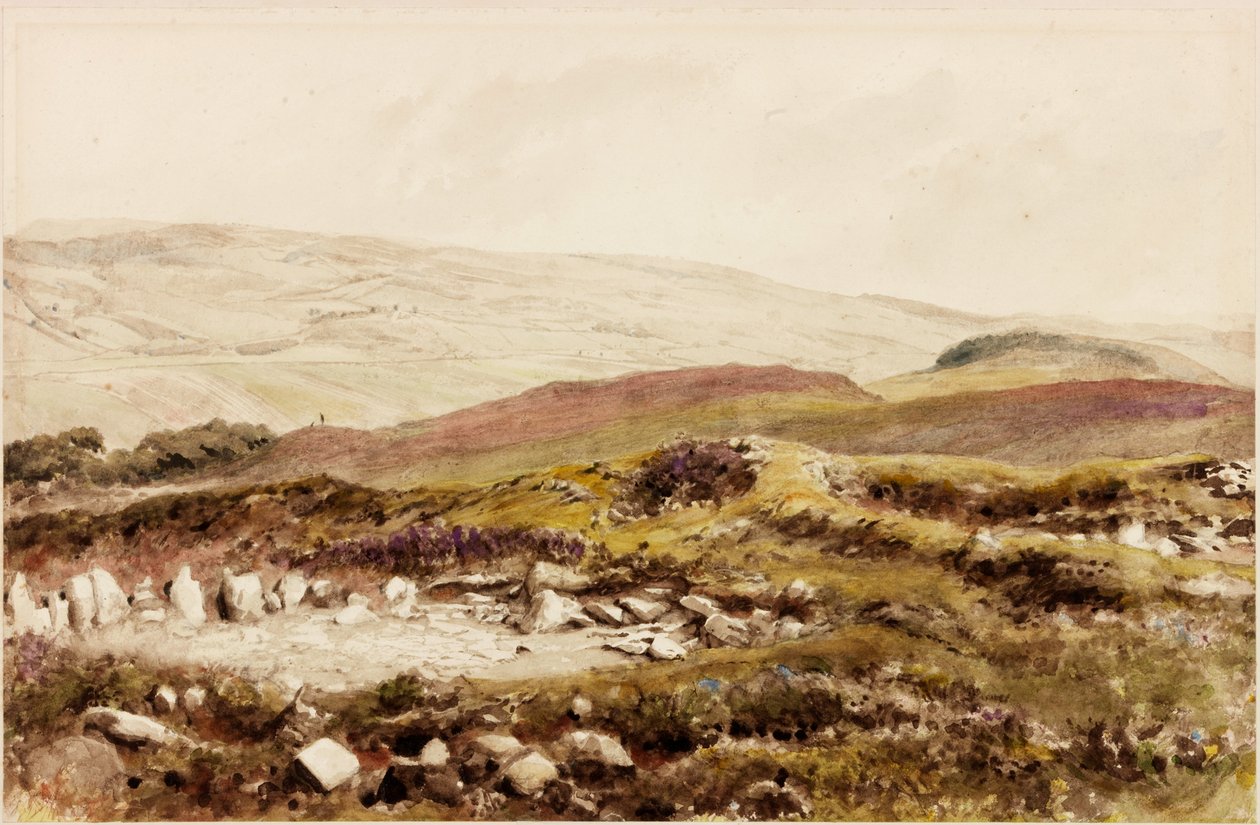 Bremenium (Rochester) (vartalon väri) tekijältä Henry Burdon Richardson