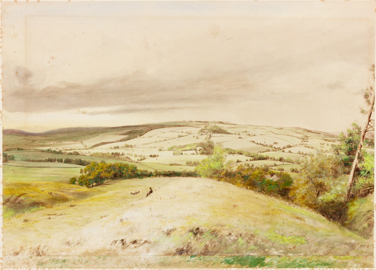 Brunton Bank (vartalon väri) tekijältä Henry Burdon Richardson
