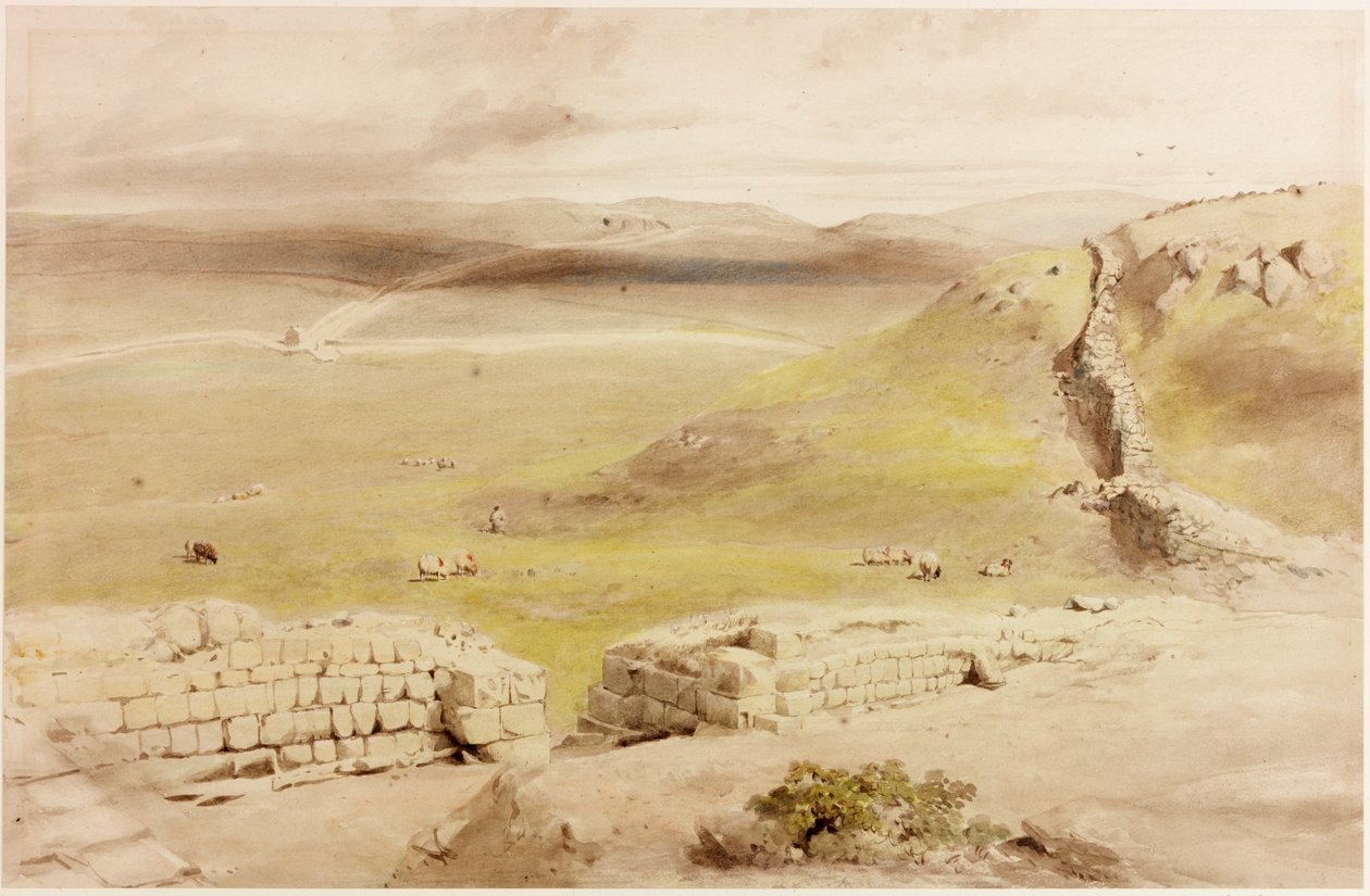 Cawfields (vartalon väri) tekijältä Henry Burdon Richardson