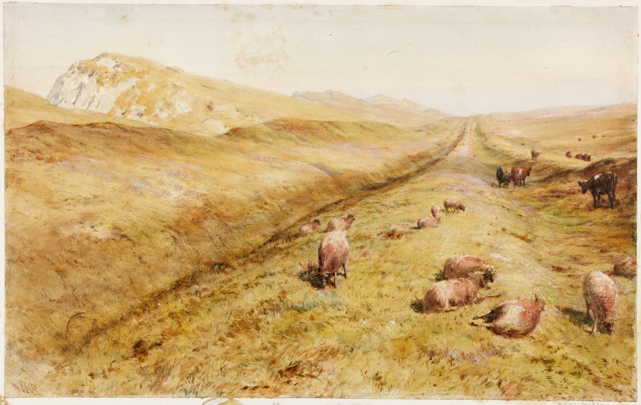 Cawfields (vartalon väri) tekijältä Henry Burdon Richardson