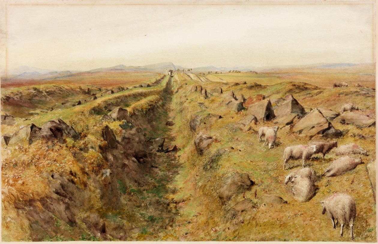 Limestone Bank (vartalon väri) tekijältä Henry Burdon Richardson