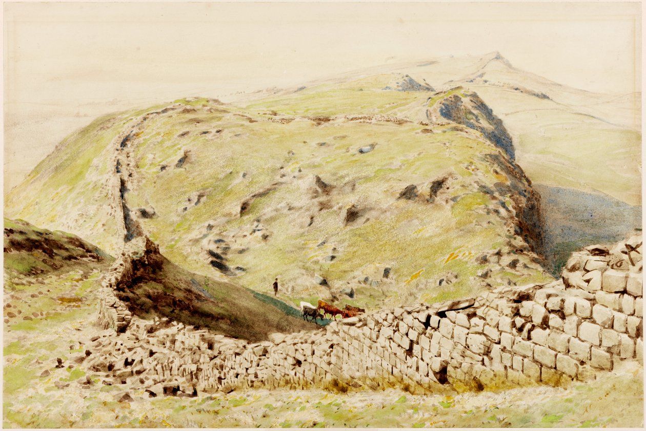 Steel-Rigg (rungon väri) tekijältä Henry Burdon Richardson