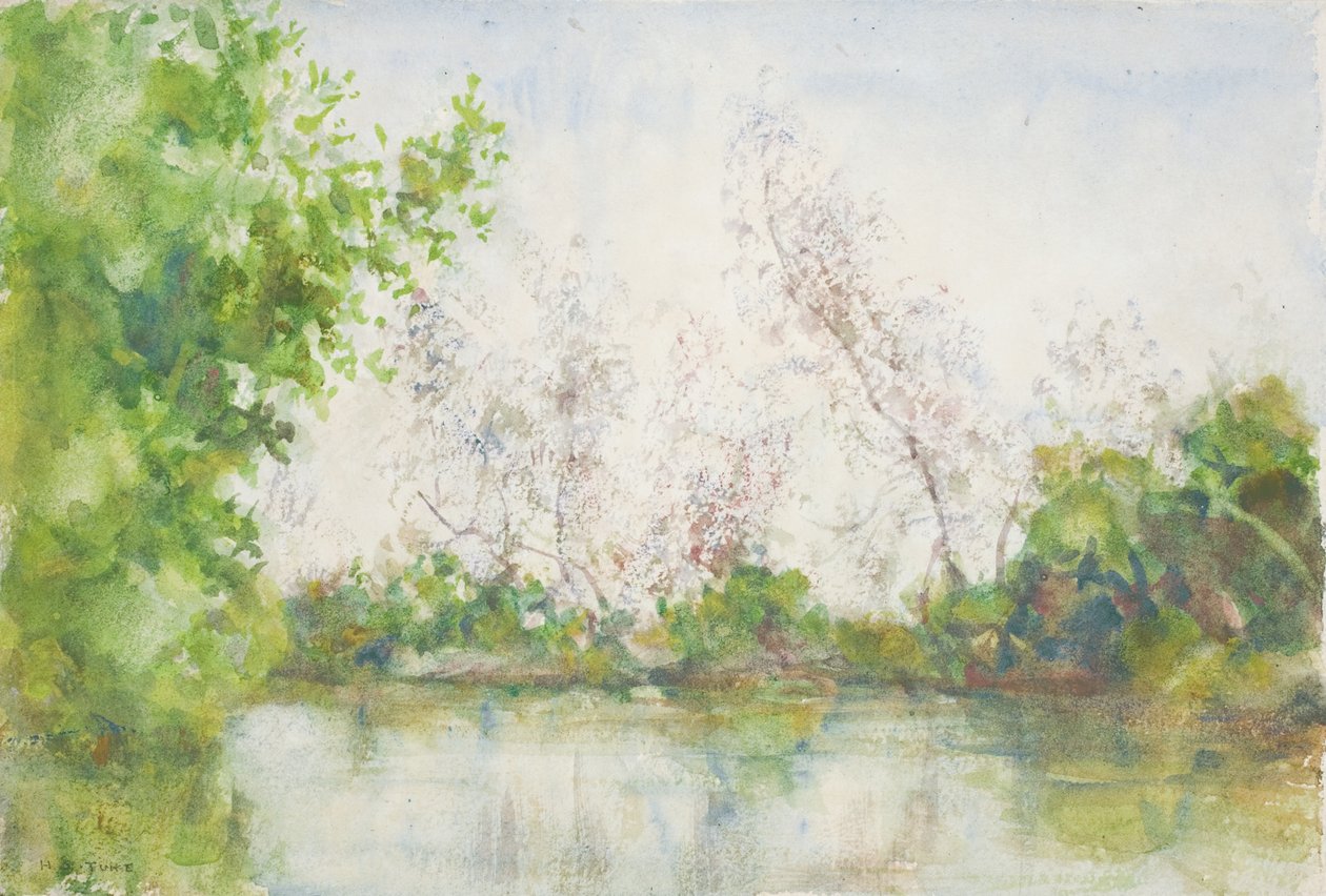 Mangrovesuo, 1924 tekijältä Henry Scott Tuke