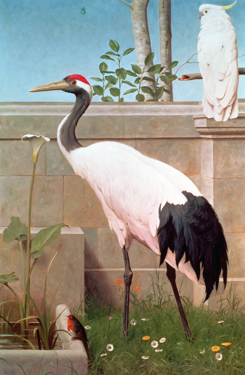 Manchurian Crane, Cockatoo ja Robin tekijältä Henry Stacey Marks