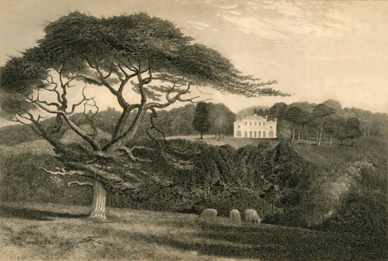 "Windmill Hill", 1835. tekijältä Henry Alexander Ogg