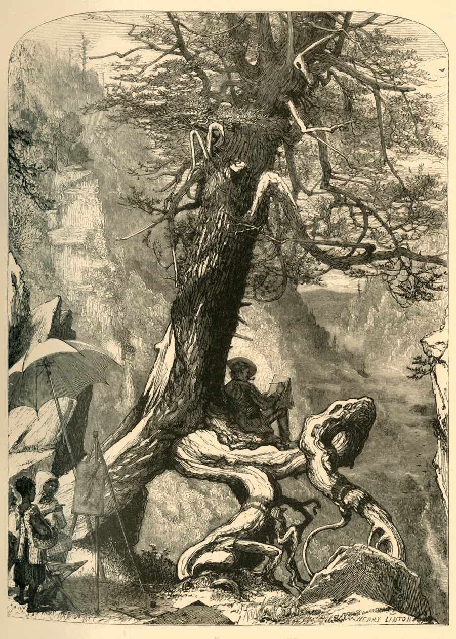 Luonnonsillan yläpuolella, 1872. tekijältä Henry Duff Linton