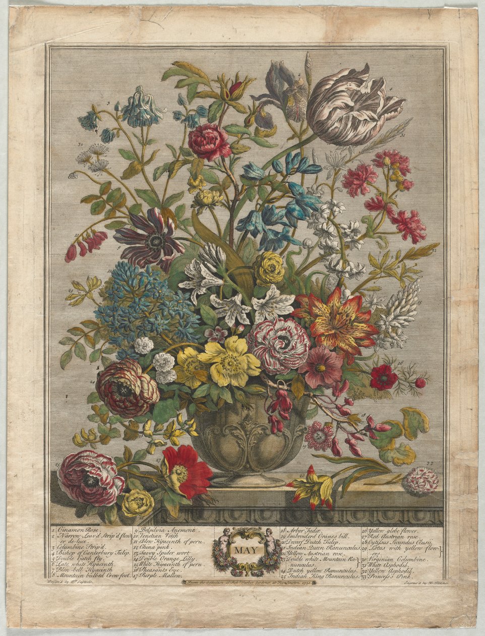12 kuukautta kukkia: toukokuu 1730. tekijältä Henry Fletcher