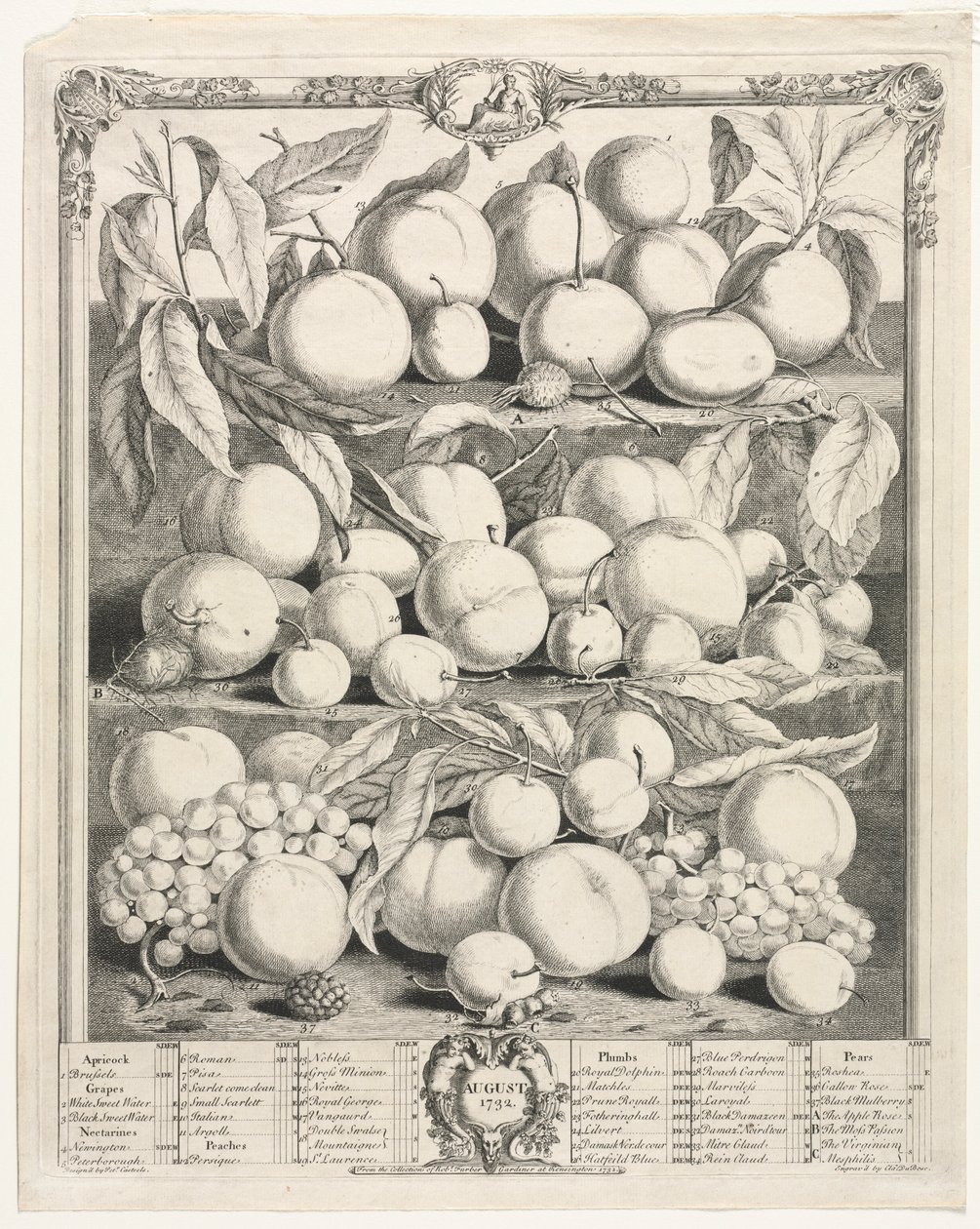 Kaksitoista hedelmäkuukautta: elokuu 1732. tekijältä Henry Fletcher
