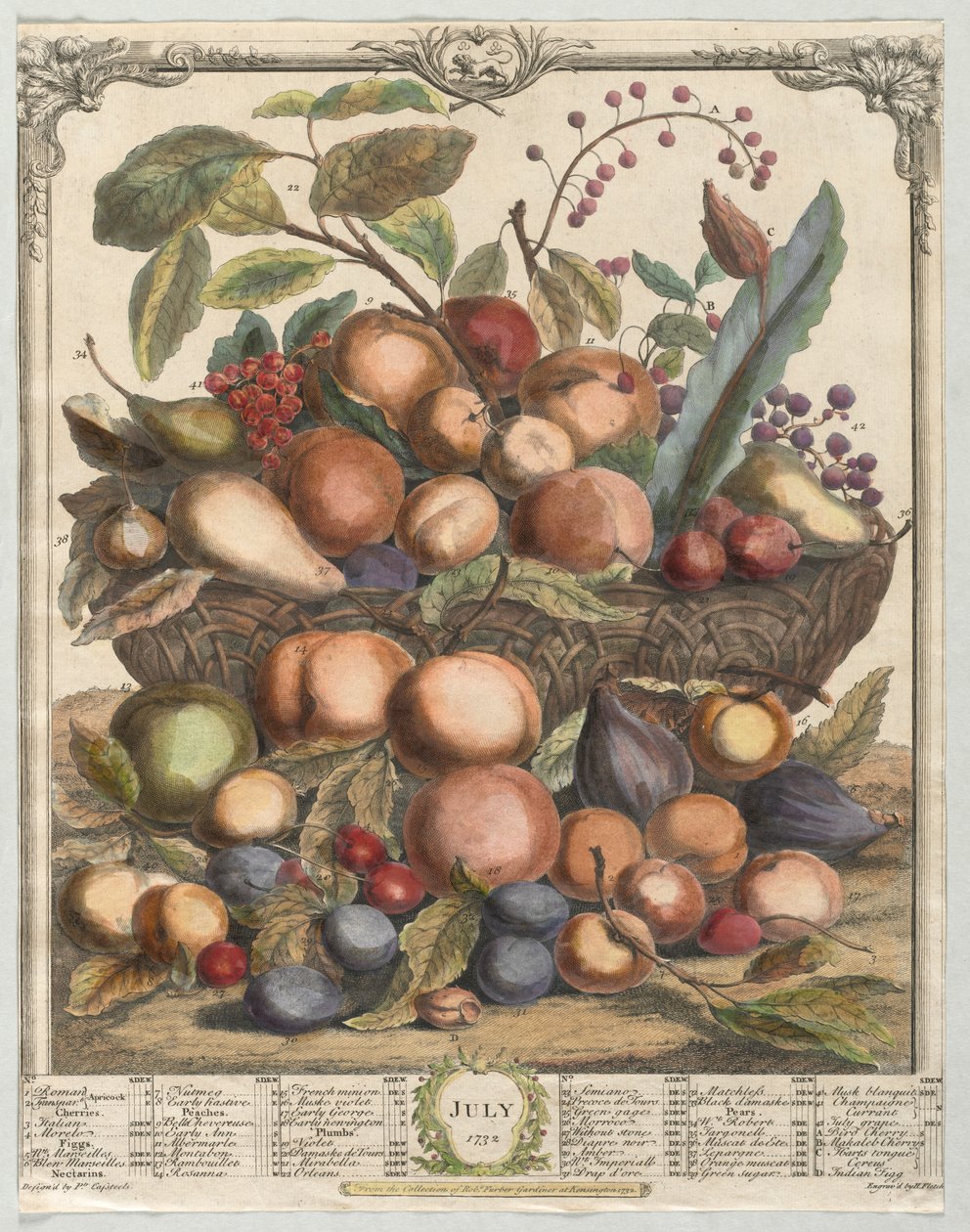 Kaksitoista hedelmäkuukautta: heinäkuu 1732. tekijältä Henry Fletcher