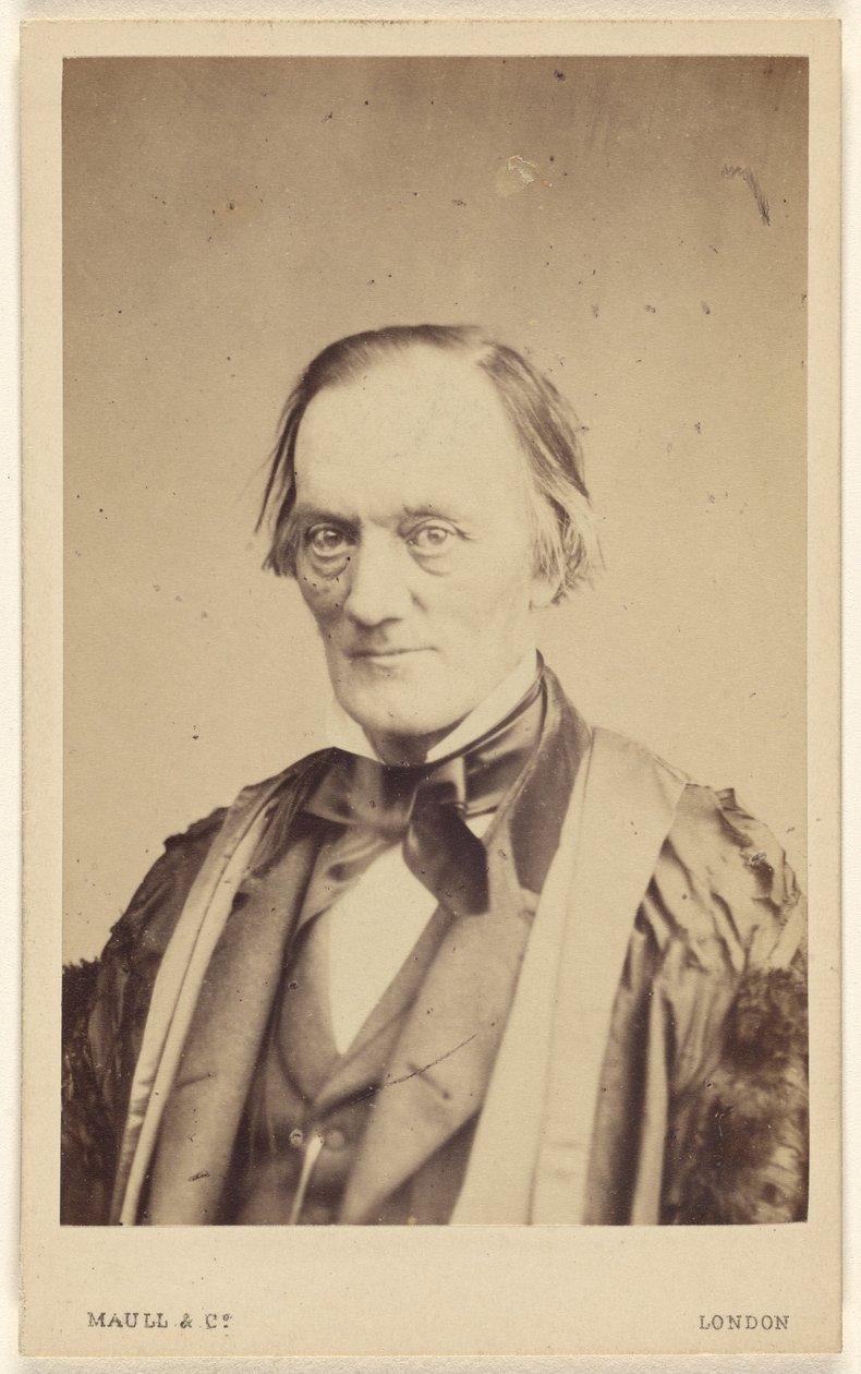 Professori Owen. tekijältä Henry Maull and Co.