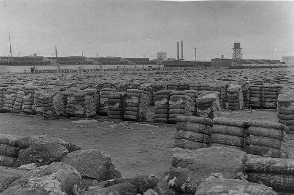 Moody Compress, Galveston (m/w kuva) tekijältä Henry Stark