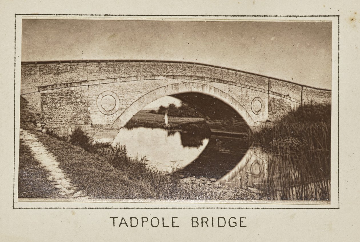 Tadpole silta tekijältä Henry W. Taunt