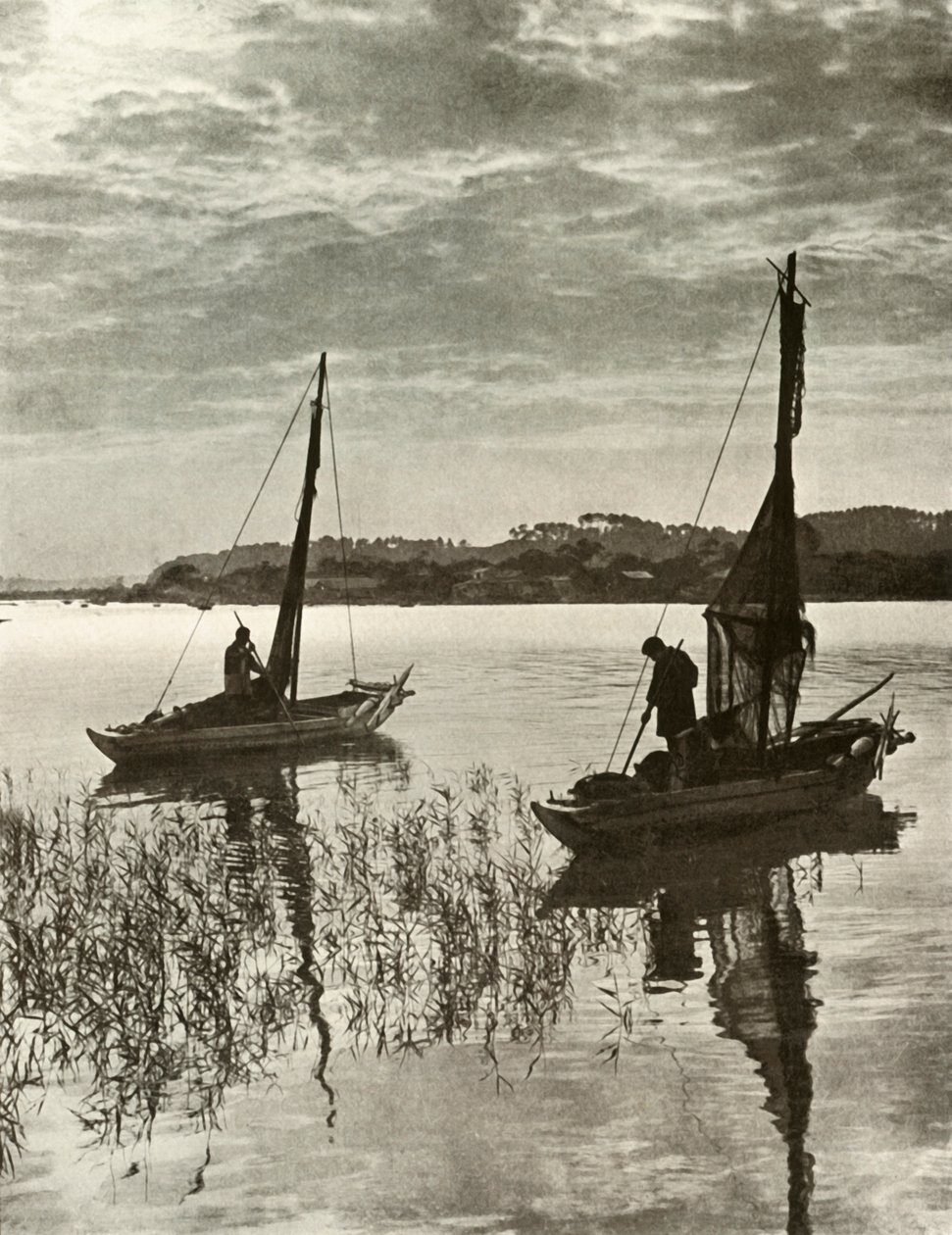 Tokionlahdella, 1910. tekijältä Herbert Ponting