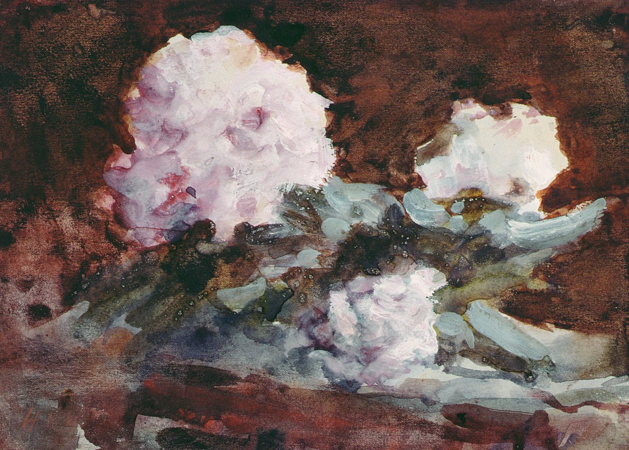 Rhododendronit (vesiväri) tekijältä Hercules Brabazon Brabazon