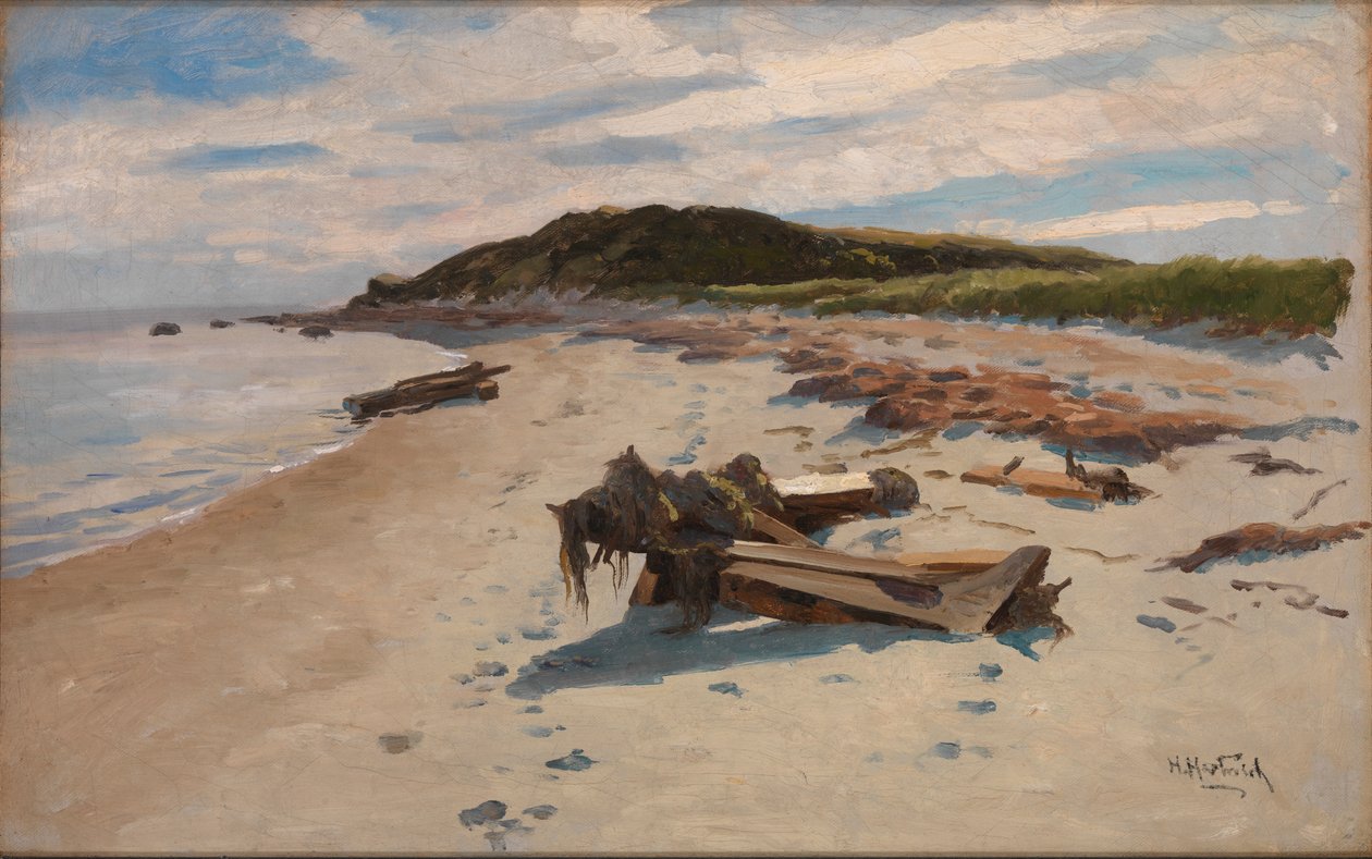 Cape Cod, Beach, 1894. tekijältä Herman Hartwich