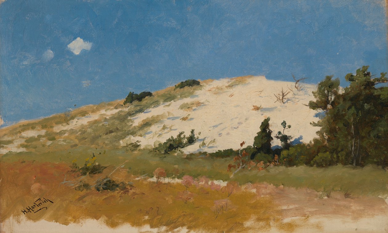 Cape Cod, hiekkadyyni, 1894. tekijältä Herman Hartwich