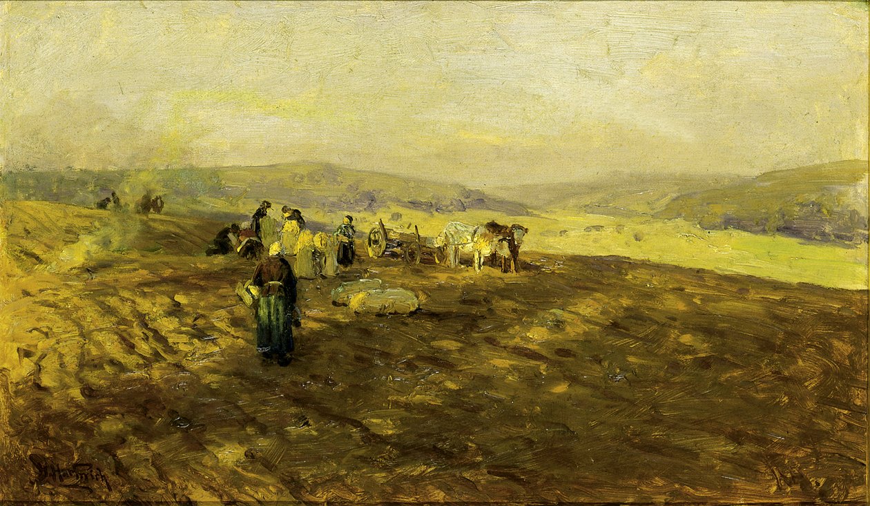 Perunanpoimijat, n.d. tekijältä Herman Hartwich