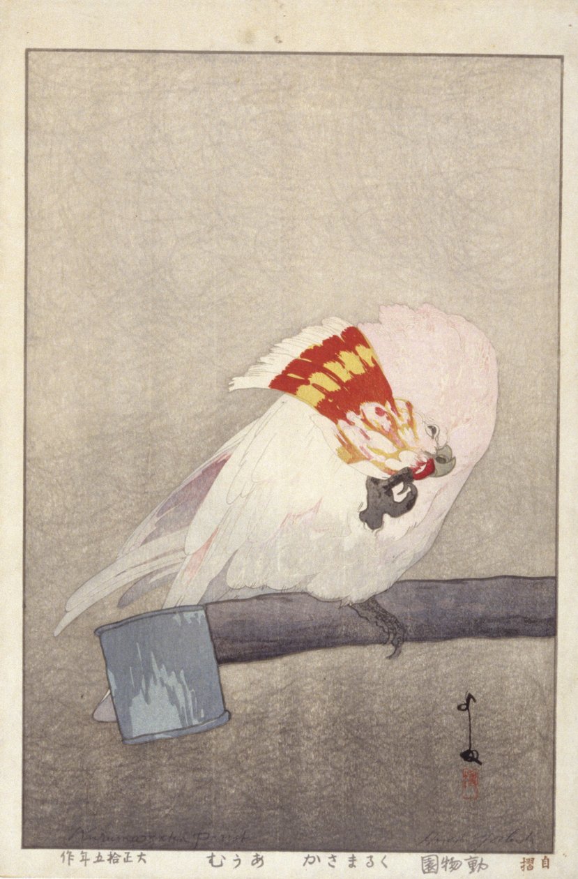 Cockatoo On Feeder (värillinen puupainatus) tekijältä Hiroshi Yoshida