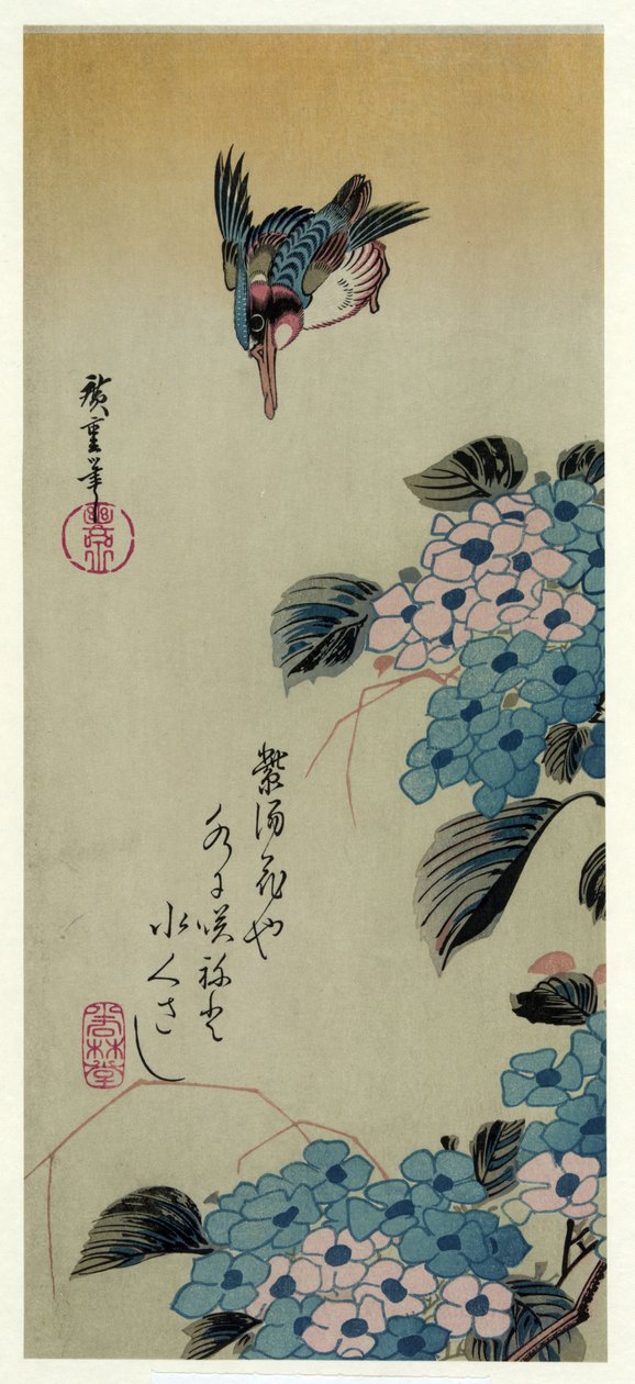 Ajisai ni Kawasemi (hortensia ja kuningaskalastaja) tekijältä Utagawa Hiroshige