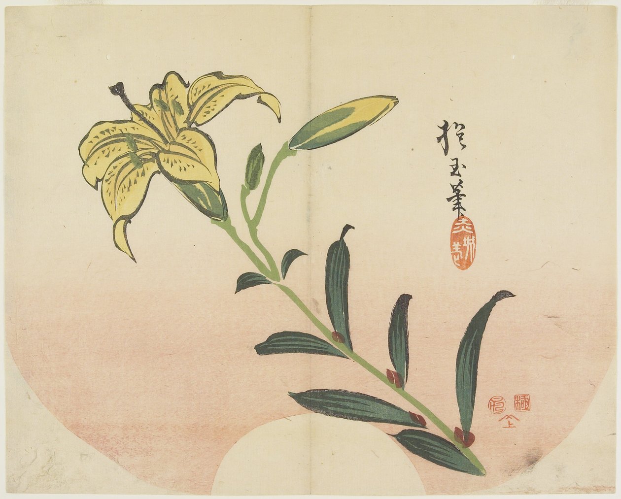(Lily), 1839 tekijältä Hogyoku