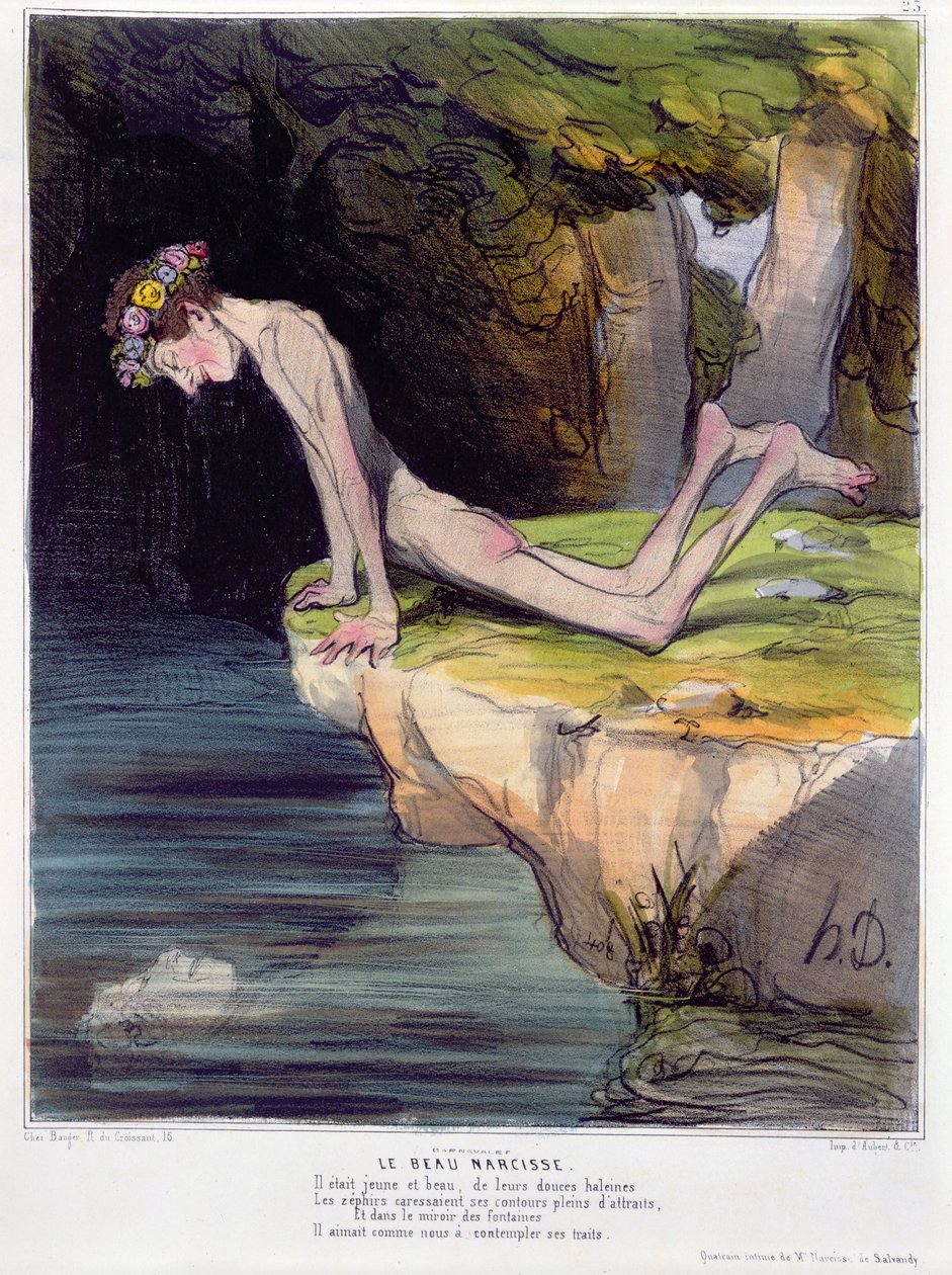 Kaunis Narcissus, d
