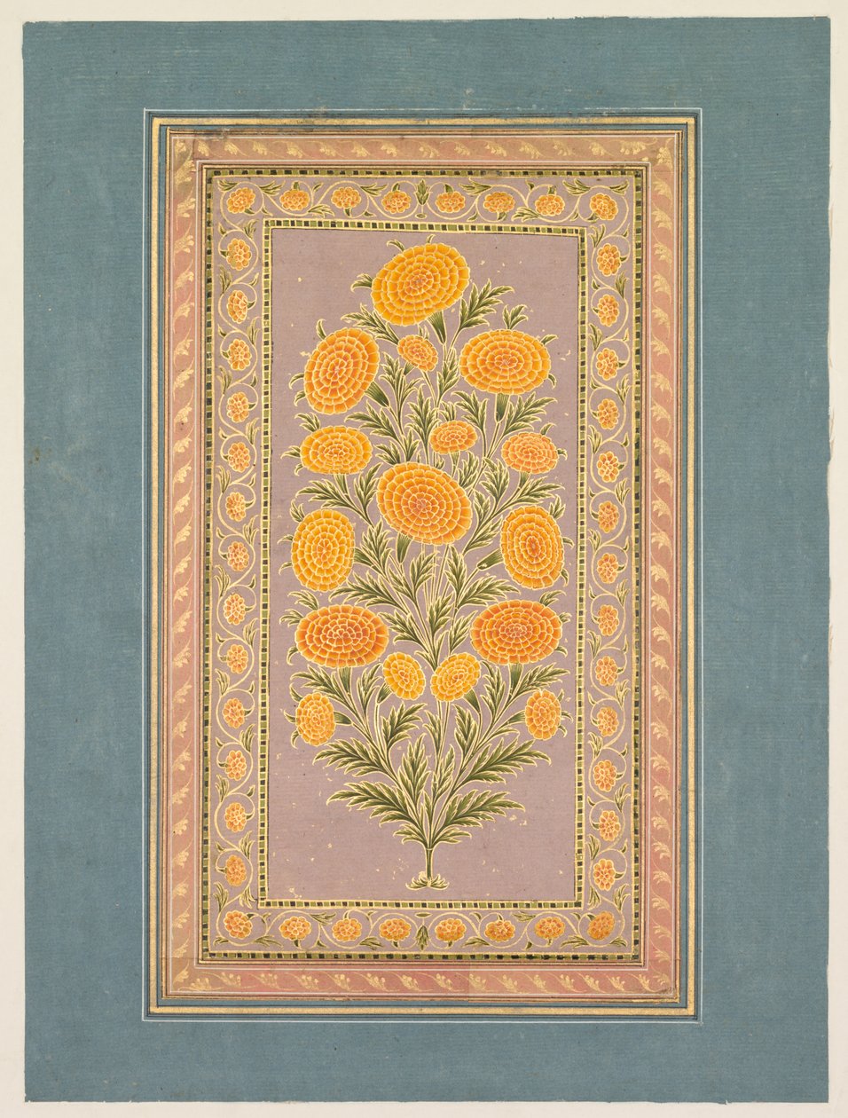 Kukkiva kehäkukka, n. 1765. tekijältä Hunhar II