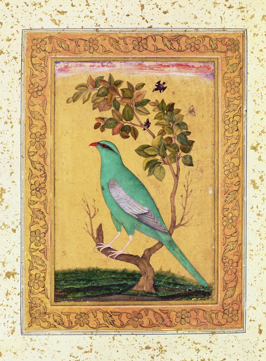 Vihreä lintu, Mughal tekijältä Indian School